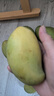 新鮮當季進(jìn)口越南芒果青芒薄皮薄汁水超足水果 黃色 玉芒150克+帶箱5斤（凈重4.5斤） 曬單實(shí)拍圖