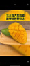 京鮮生新鮮玉芒  凈重4.5斤 單果200g＋ 新鮮芒果 源頭直發(fā)包郵 曬單實(shí)拍圖