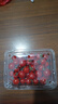 京喜加【全網(wǎng)熱銷(xiāo)】廣西正宗圣女果露天櫻桃小番茄即食水果小柿子新鮮 帶箱1斤 1斤 曬單實(shí)拍圖