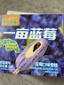 東北大板一畝藍莓藍莓味雪糕 95g*4支盒裝 冷飲 批發(fā) 冰激凌 冰淇淋 曬單實(shí)拍圖