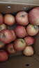 京鮮生 新疆阿克蘇蘋(píng)果 凈重9斤 果徑80-85mm 生鮮水果 曬單實(shí)拍圖