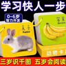 動物卡片幼兒認知卡片書兒童玩具寶寶益智玩具嬰幼兒啟蒙認知卡 安全材質-無異味 升級款2盒裝【動物+水果】 曬單實拍圖