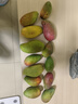 京鮮生 海南貴妃芒果 凈重4.5斤 單果100g+ 新鮮水果 源頭直發(fā) 曬單實(shí)拍圖