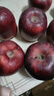 京鮮生 天水花牛蘋(píng)果 凈重4.5斤 單果 260g+ 生鮮水果源頭直發(fā) 曬單實(shí)拍圖