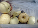 京鮮生山東奶油富士蘋(píng)果凈重5斤單果170g新鮮水果 源頭直發(fā)包郵 曬單實(shí)拍圖