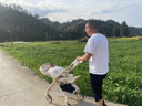 丸丫T9嬰兒推車(chē)雙向輕便可坐可躺折疊四輪避震新生兒高景觀(guān)香檳金 曬單實(shí)拍圖