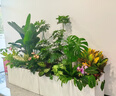 Only you【上門(mén)布置】組合真綠植大型植物裝飾室內公司空間造景上門(mén)布置 青植繪景（花箱隨機） 曬單實(shí)拍圖