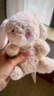 Jellycat米色甜美小兔小短腿公仔動(dòng)物毛絨玩偶娃娃送禮生日禮物 甜美小兔 One Size 曬單實(shí)拍圖