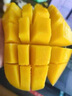 京鮮生云南新鮮玉芒 凈重8斤 單果200g＋ 新鮮芒果 源頭直發(fā)包郵 曬單實(shí)拍圖