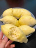 晨樾優(yōu)選泰國進(jìn)口金枕頭榴蓮鮮榴蓮 巴掌榴蓮新鮮水果時(shí)令軟糯金枕 金枕榴蓮凈重1.8-2.5斤 曬單實(shí)拍圖