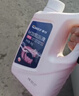 車(chē)仆長(cháng)效防凍液-25℃紅色 發(fā)動(dòng)機水箱冷卻液 防凍防垢防沸 水箱寶 曬單實(shí)拍圖