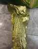 十月稻田 黃甜糯玉米 8根 3.52斤 真空包裝 東北粘玉米棒 低脂早餐 曬單實(shí)拍圖