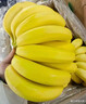 佳農 進(jìn)口香蕉凈重4斤（約10-12根）單根蕉 獨立裝 生鮮水果 新鮮包郵 曬單實(shí)拍圖