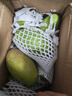 玖原農珍 海南大青皮金煌甜心芒當季優(yōu)選芒果 生鮮水果新鮮現摘芒果 含箱5斤凈果4.5斤優(yōu)選果 曬單實(shí)拍圖