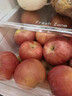 京地達煙臺棲霞紅富士蘋(píng)果凈重4.5斤單果約198g煙臺蘋(píng)果水果源頭直發(fā) 曬單實(shí)拍圖