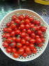 現摘圣女果小番茄西紅柿新鮮水果千禧小番茄新鮮蔬菜水果酸甜可口 精選新鮮 5斤 泡沫箱包裝 曬單實(shí)拍圖