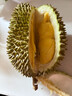 【進(jìn)口泰國金枕】金枕榴蓮新鮮果肉飽滿(mǎn)新鮮生鮮香甜軟糯包郵直達 香甜金枕凈重2-3斤(單果)保三房 曬單實(shí)拍圖