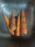 京喜加山東新鮮胡蘿卜水果胡蘿卜現挖現發(fā)蔬菜水果沙地紅蘿卜減脂 帶泥胡蘿卜2斤 含箱 曬單實(shí)拍圖