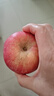 京鮮生陜西洛川紅富士?jì)糁?斤75-80mm單果170g+新鮮水果源頭直發(fā) 曬單實(shí)拍圖