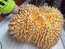 京地達新鮮榴蓮正宗泰國金枕頭凈重5斤起包4房起1個(gè)果源頭直發(fā)包郵 曬單實(shí)拍圖