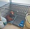 憨憨寵 狗籠貓籠 狗籠子小型犬帶廁所幼犬折疊便攜貓籠子寵物籠具兔籠 黑色 前出盤(pán)狗絲籠 70*50*60cm 曬單實(shí)拍圖