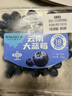 云南高山大藍莓500g 18mm 曬單實(shí)拍圖