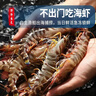 哆鮮生 海捕竹節蝦 野外生長(cháng)活凍國產(chǎn)斑節蝦大花對蝦九節竹節鬼蝦蝦類(lèi) 竹節蝦 大號 7-9條 300g(凈重) 曬單實(shí)拍圖