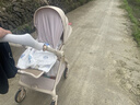 丸丫T9嬰兒推車(chē)雙向輕便可坐可躺折疊四輪避震新生兒高景觀(guān)香檳金 曬單實(shí)拍圖