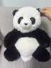 捉趣（ZHUOQU）熊貓毛絨玩具五月齡花花仿真熊貓玩偶公仔布娃娃抱枕元旦新年禮物 曬單實(shí)拍圖