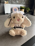 Jellycat米色甜美小兔小短腿公仔動(dòng)物毛絨玩偶娃娃送禮生日禮物 甜美小兔 One Size 曬單實(shí)拍圖