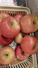 佳農 煙臺紅富士蘋(píng)果 凈重10斤 特級果 單果240g+ 生鮮禮盒 曬單實(shí)拍圖