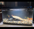 米家小米米家智能生態(tài)魚(yú)缸還原自然生態(tài)補倉一次三月無(wú)憂(yōu)出差旅行必備 曬單實(shí)拍圖