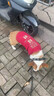 OIMG狗狗衣服春秋冬季小型犬雪納瑞衣服比熊泰迪博美約克夏四腳衣包肚 招財進(jìn)寶紅-S碼【3-5斤】加絨加厚 曬單實(shí)拍圖