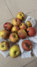 阿克蘇蘋(píng)果新疆阿克蘇冰糖心蘋(píng)果 當季應季新鮮時(shí)令水果整箱紅富士丑蘋(píng)果 10斤【精品中果】單果130g+ 凈重8.5斤 曬單實(shí)拍圖