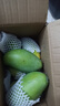 正宗越南玉芒大青芒青皮芒果爆甜特大果鮮果熱帶水果皮薄肉厚鮮甜 綠色 大青金煌芒300克+帶箱5斤（凈重4.7斤） 曬單實(shí)拍圖