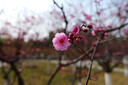松下S5M2（20-60mm F3.5-5.6）（Panasonic）S5二代 全畫(huà)幅微單相機 約2420萬(wàn)有效像素 新相位混合對焦 曬單實(shí)拍圖