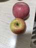阿克蘇蘋(píng)果新疆阿克蘇冰糖心蘋(píng)果 當季應季新鮮時(shí)令水果整箱紅富士丑蘋(píng)果 10斤精品中果 單果69-90mm 凈重8.5斤 曬單實(shí)拍圖