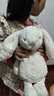 Jellycat害羞乳白色邦尼兔動(dòng)物毛絨玩偶安撫玩偶娃娃送禮生日禮物 害羞乳白色邦尼兔 Medium 曬單實(shí)拍圖