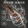 天縱良材進(jìn)口巨型黑虎蝦 活凍大蝦老虎蝦斑節蝦對蝦 海鮮禮品生鮮海蝦 巨型20-24只 2.6斤(凈重)  20-22CM 曬單實(shí)拍圖