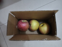 京喜加山西運城紅富士蘋(píng)果10斤正宗當季現摘新鮮水果丑甜冰糖心整箱 1斤凈重0.6斤中果65-75mm 曬單實(shí)拍圖