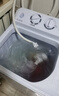 小鴨【官方店】半自動(dòng)洗衣機迷你小型波輪大容量租房宿舍家用雙桶雙缸分區脫水甩干老式強力去污 12.5KG  洗7.5+脫5+強勁電機全國聯(lián)保 雙缸 曬單實(shí)拍圖
