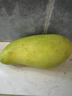 壹萌果蔬金煌芒芒果 當季現摘廣西大芒果新鮮水果水仙青芒果整箱送禮 5斤精選果【單果200g+】 凈4.5斤 曬單實(shí)拍圖