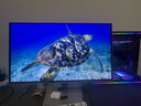 三星（SAMSUNG）27英寸 G81SF QD-OLED 4K 240Hz 動(dòng)態(tài)冷卻 防眩光 超薄 節能 玄龍騎士 電競顯示器 LS27FG812SBXXF 曬單實(shí)拍圖