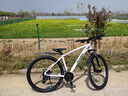 喜德盛（xds）山地自行車(chē)英雄280油壓碟剎X6鋁合金車(chē)架24速變速27.5大輪徑通勤 水泥灰 17.5寸（適合身高175-190cm） 曬單實(shí)拍圖