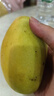 庾豐 海南應季新鮮金煌芒果 整箱當季現摘孕婦熱帶水果大青 皮玉芒 10斤裝（凈果9斤）單果250g+ 曬單實(shí)拍圖