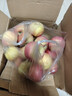 龍多鮮正宗天然冰糖心蘋(píng)果 丑蘋(píng)果 新鮮富士應季山西水果 送禮推薦 整9-10斤精選好果 約130-180g 凈8.5斤 曬單實(shí)拍圖