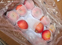 京鮮生 煙臺紅富士蘋(píng)果 凈重10斤 單果190g以上 禮盒裝 生鮮水果 曬單實(shí)拍圖