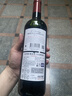 CANIS FAMILIARIS布多格法國原瓶進(jìn)口紅酒 干紅葡萄酒 750ml 單瓶送禮裝 曬單實(shí)拍圖