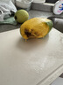 甜萌果蔬金煌芒芒果【多地次日達】當季現摘海南大芒果新鮮水果青芒果整箱 5斤果鋪裝【單果300g+】?jì)?.5斤 曬單實(shí)拍圖