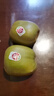 佳沛（zespri）新西蘭 新果季海運 巨無(wú)霸紅奇異果 15粒單果146-175g 獼猴桃 曬單實(shí)拍圖